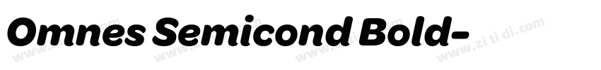 Omnes Semicond Bold字体转换 Omnes Semicond Bold字体转换